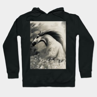 Wild Horse Hoodie